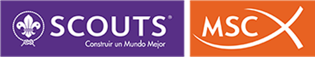 Scouts MSC Odoo